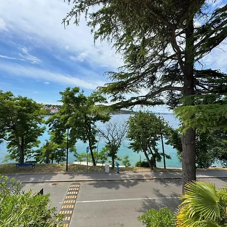 Apartments Scheich Guest house 3*